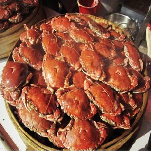 高档鲜活水产品高档蟹类优质野生螃蟹个头大肉质鲜美紧实批发